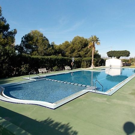 Apartament Corinto 2428 La Mata  Pokój zdjęcie